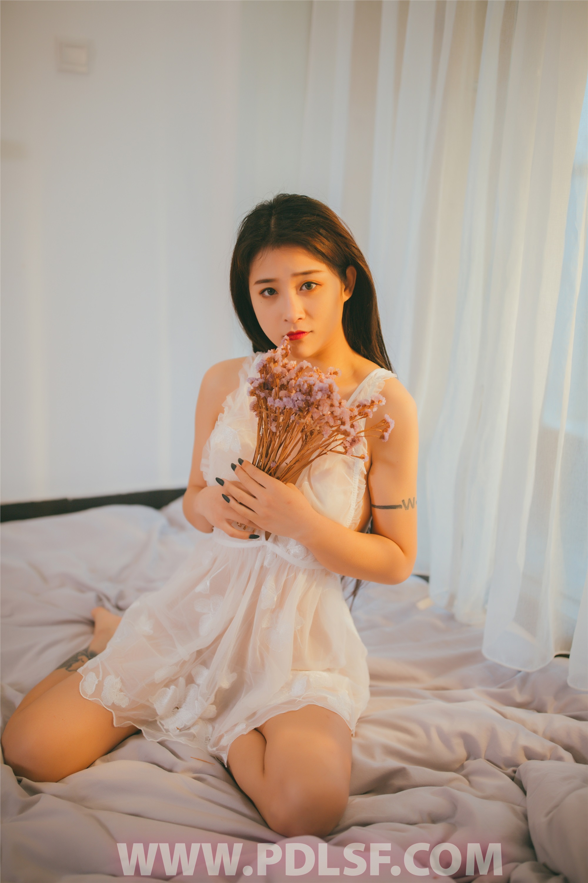 PDL潘多拉 2019.12.26 专辑No.258